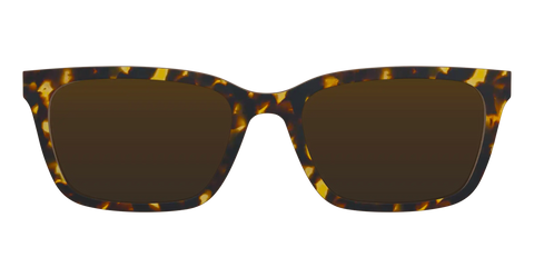 The Polarized Tortoise Sun Top