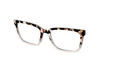 The Vanilla Latte Tortoise