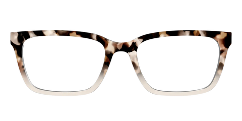 The Vanilla Latte Tortoise