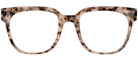 The Almond Tortoise with Gold Streaks