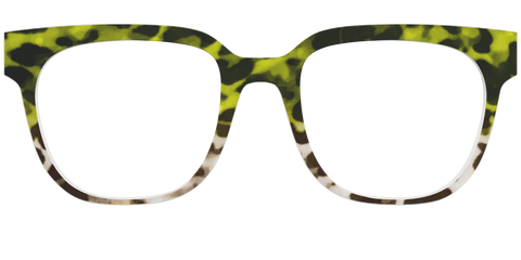 The Avocado to Ivory Tortoise