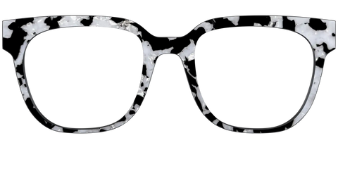 The Black & White Pearl Tortoise