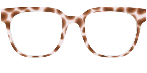 The Caffé Tortoise