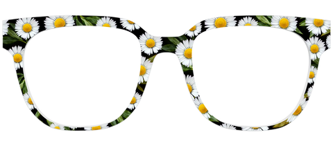 The Delicate Daisies