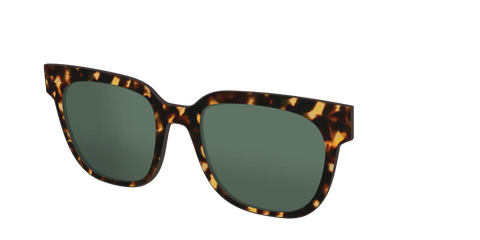 The Non-Polarized Green Tortoise Sun Top