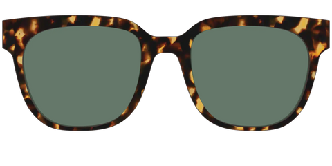 The Non-Polarized Green Tortoise Sun Top