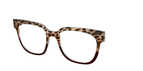 The Jungle Cat Tortoise