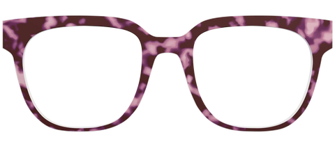 The Maroon Tortoise