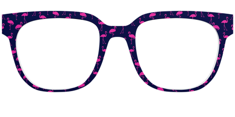 The Navy Flamingos