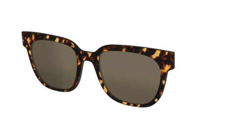 The Non-Polarized Tortoise Sun Top