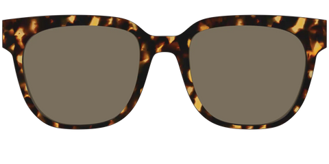The Non-Polarized Tortoise Sun Top