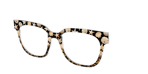 The Ocean Treasures Tortoise