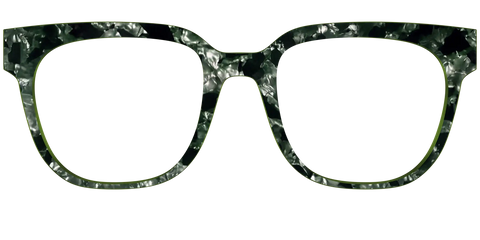 The Olive Pearl Tortoise