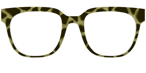 The Olive Tortoise