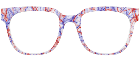 The Pair's Anatomy