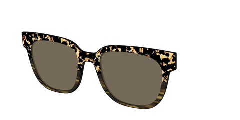 The Polarized Caramel Tortoise Horn Split Sun Top