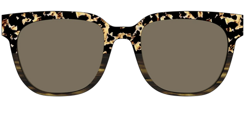 The Polarized Caramel Tortoise Horn Split Sun Top