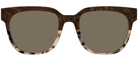 The Polarized Dark Oak Tortoise Split Sun Top