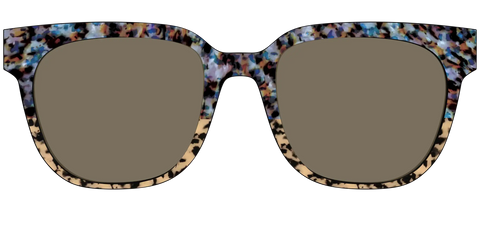 The Polarized Oasis Tortoise Split Sun Top