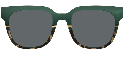 The Polarized Spruce Tortoise Sun Top