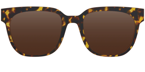 The Polarized Tortoise Sun Top