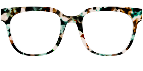 The Twilight Tortoise