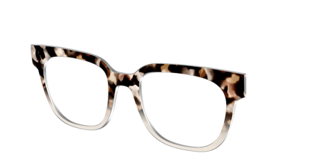 The Vanilla Latte Tortoise