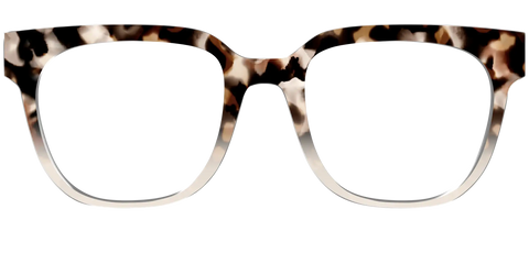 The Vanilla Latte Tortoise