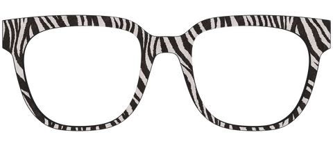 The Zebra Stripes