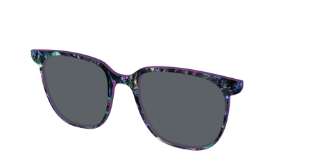 The Polarized Abalone Sun Top