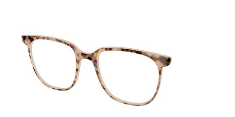 The Almond Tortoise with Gold Streaks