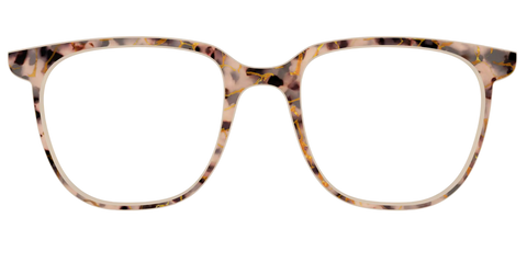 The Almond Tortoise with Gold Streaks