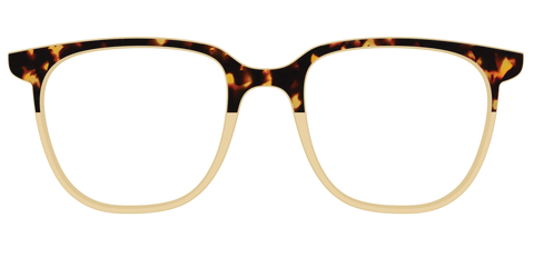 The Amber Tortoise Crystal Split
