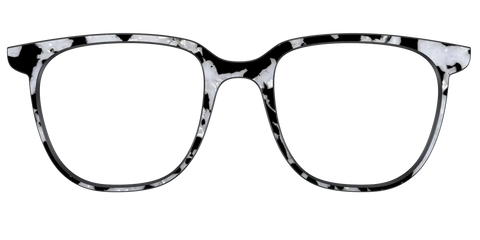 The Black & White Pearl Tortoise