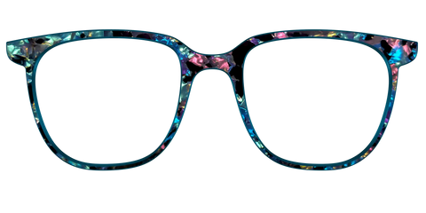 The Black Prismatic Pearl Tortoise