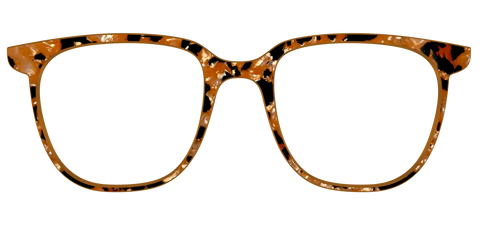 The Caramel Pearl Tortoise