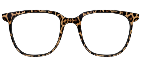 The Cheetah Spots