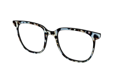 The Earl Grey Tortoise