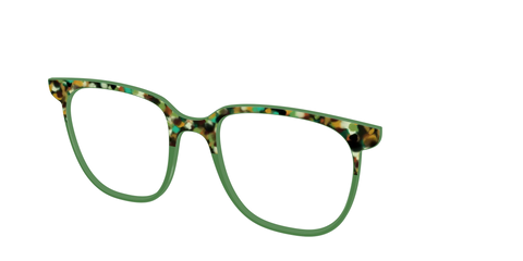 The Forest Tortoise Crystal Split