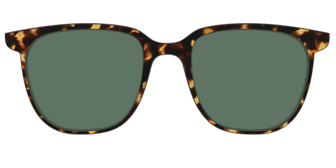 The Non-Polarized Green Tortoise Sun Top