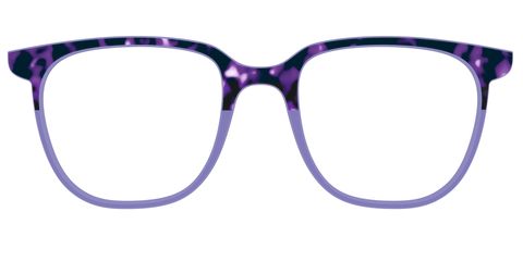 The Iris Tortoise Crystal Split