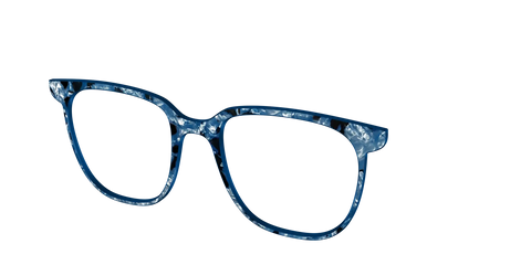 The Midnight Blue Pearl Tortoise
