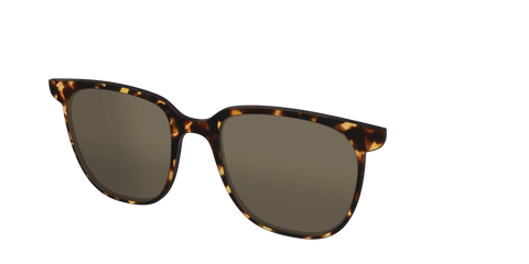 The Non-Polarized Tortoise Sun Top