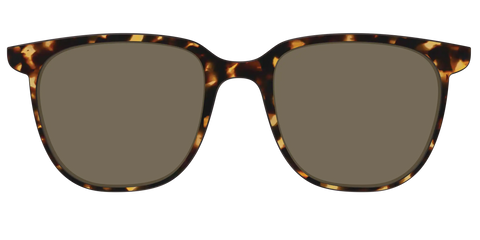 The Non-Polarized Tortoise Sun Top