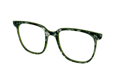 The Olive Pearl Tortoise