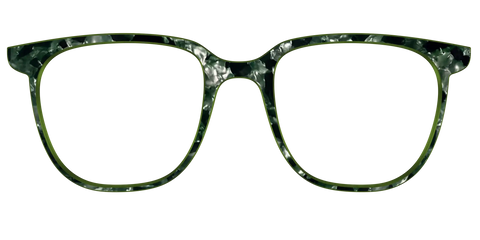 The Olive Pearl Tortoise