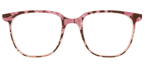 The Pale Peach Pearl Tortoise