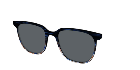 The Polarized Blue Horn Tortoise Sun Top