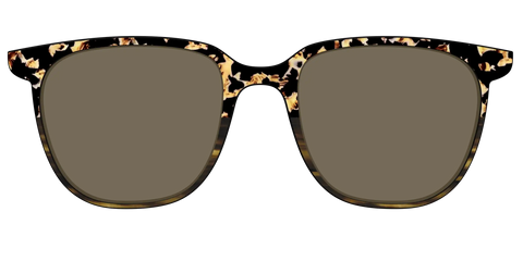 The Polarized Caramel Tortoise Horn Split Sun Top