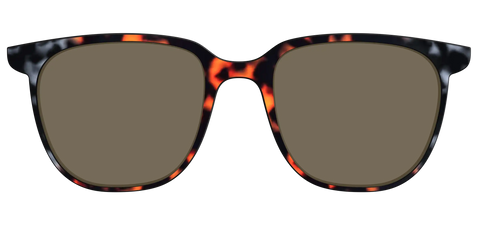 The Polarized Gray & Amber Tortoise Sun Top